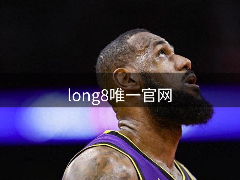 公司未来方向